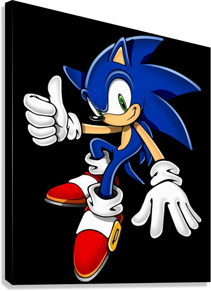 Sonic 54 Canvas Print