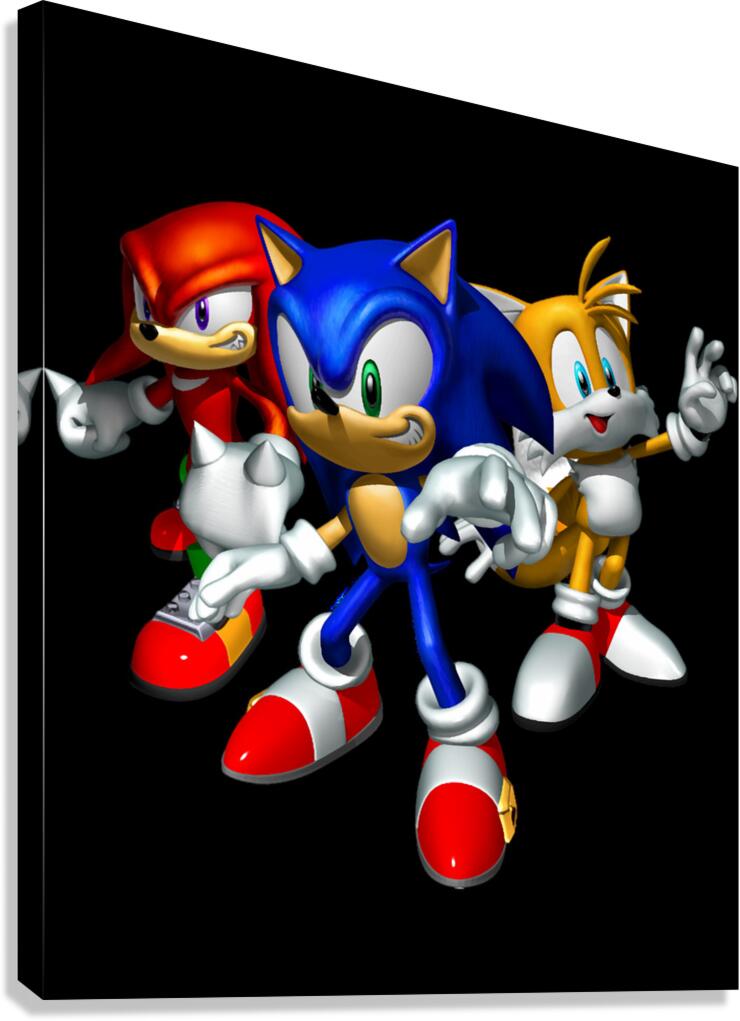 Sonic 55 Canvas Print