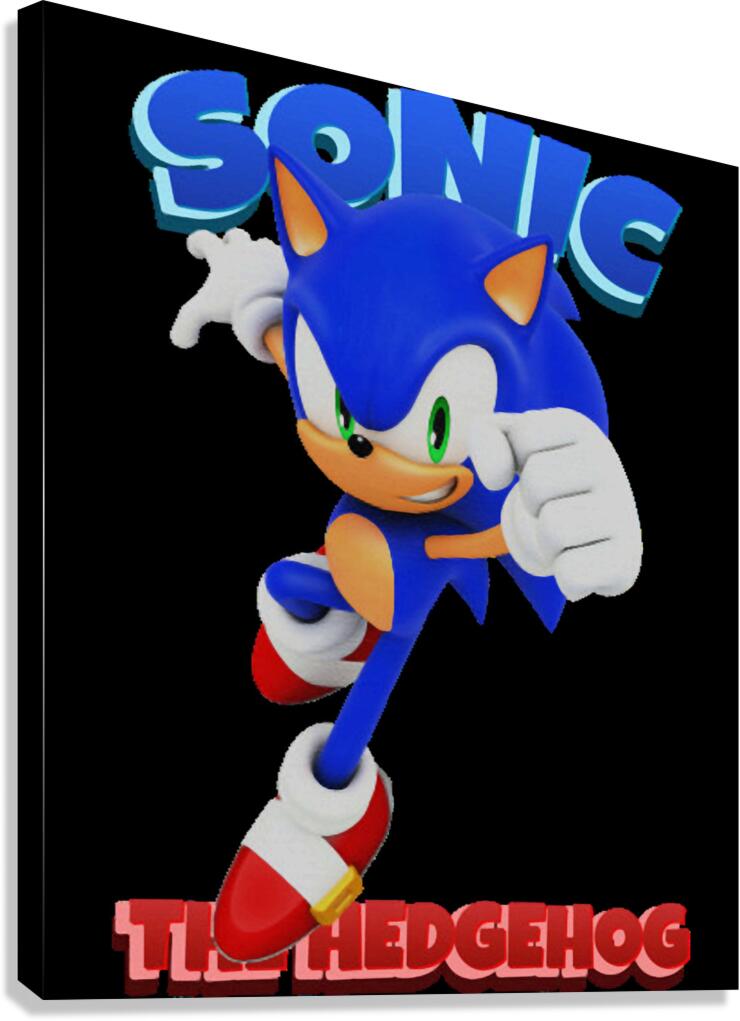 Sonic 56 Canvas Print