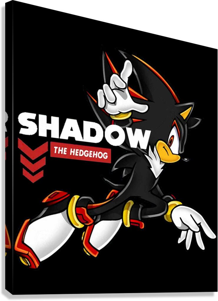 Sonic 57 Canvas Print