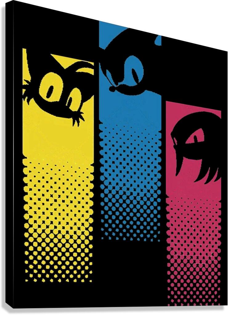 Sonic 60 Canvas Print
