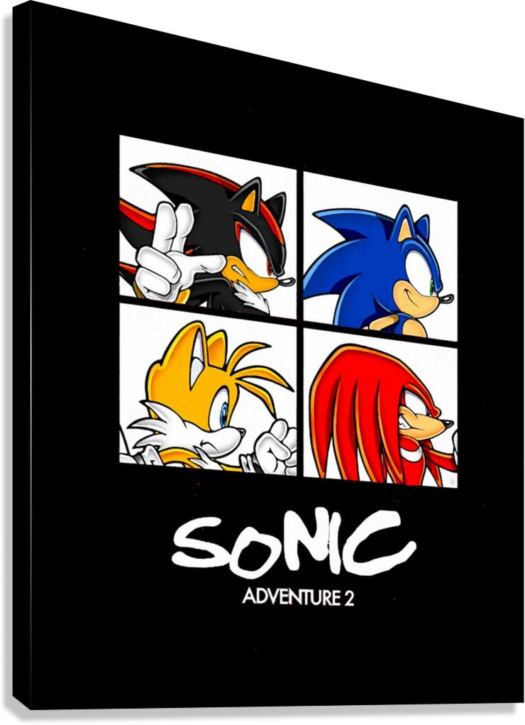 Sonic 63 Canvas Print