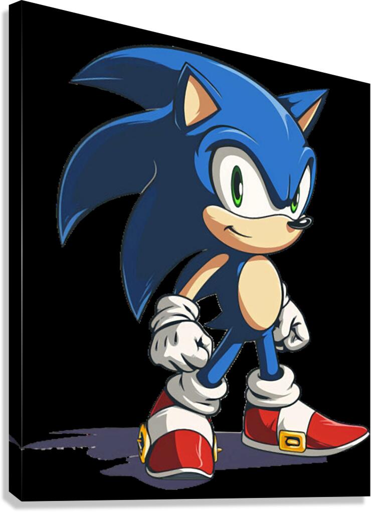 Sonic 6 Canvas Print