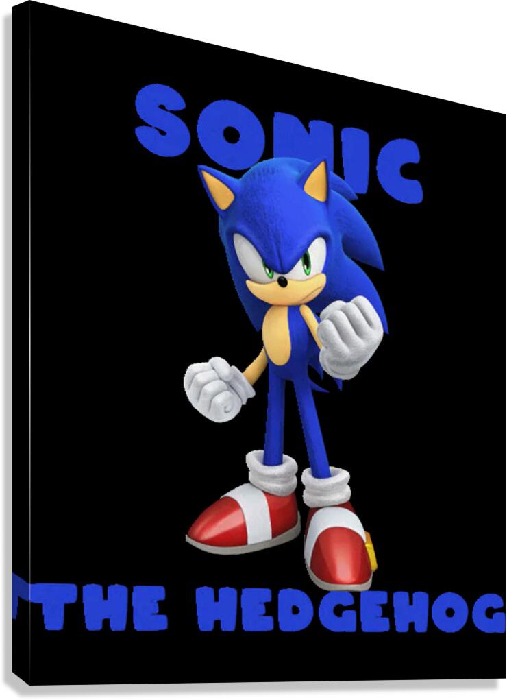 Sonic 7 Canvas Print