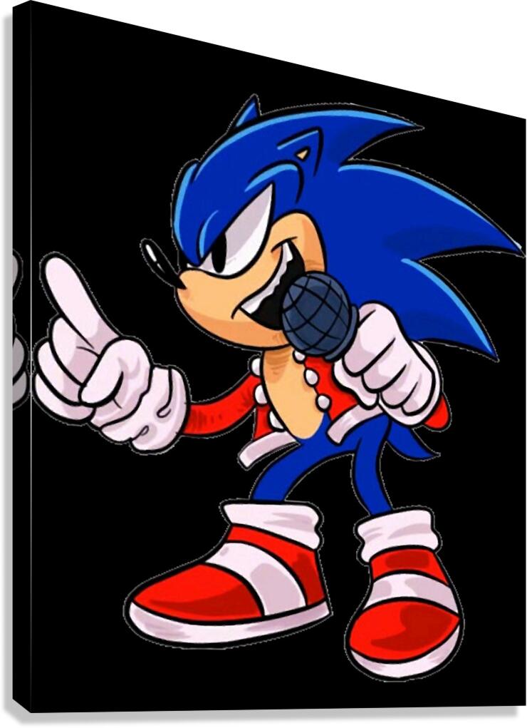 Sonic 8 Canvas Print