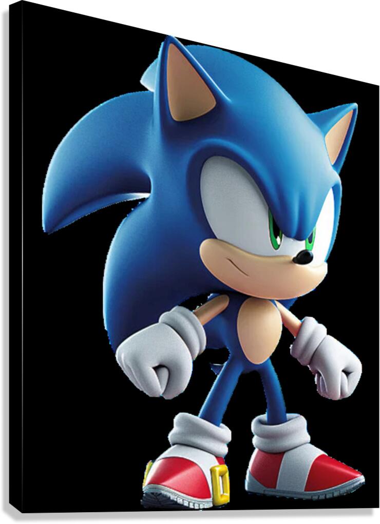 Sonic 10 Canvas Print