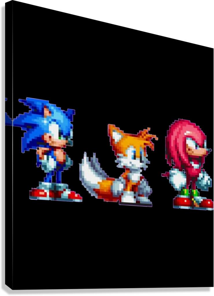 Sonic 11 Canvas Print