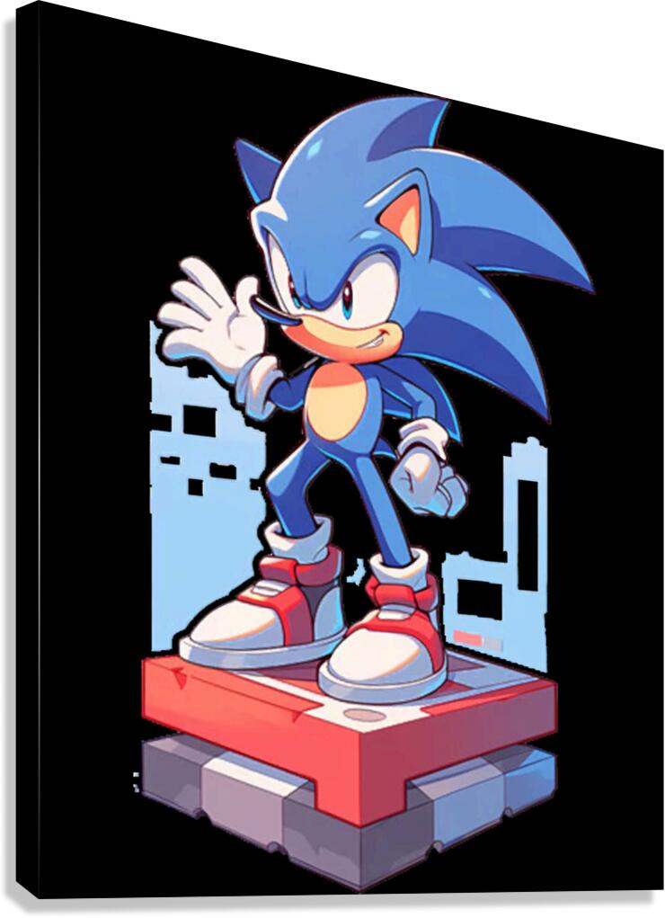 Sonic 12 Canvas Print