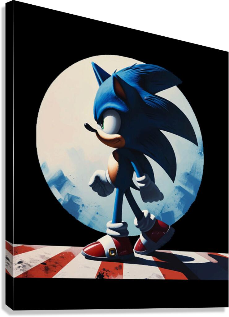 Sonic 14 Canvas Print