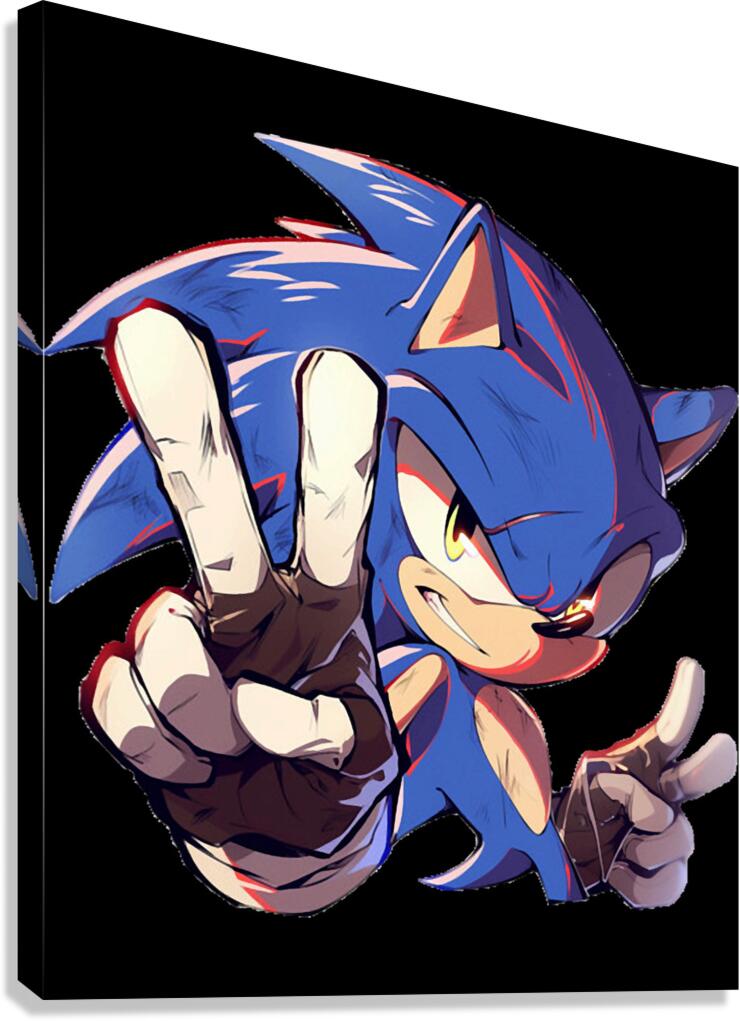 Sonic 16 Canvas Print