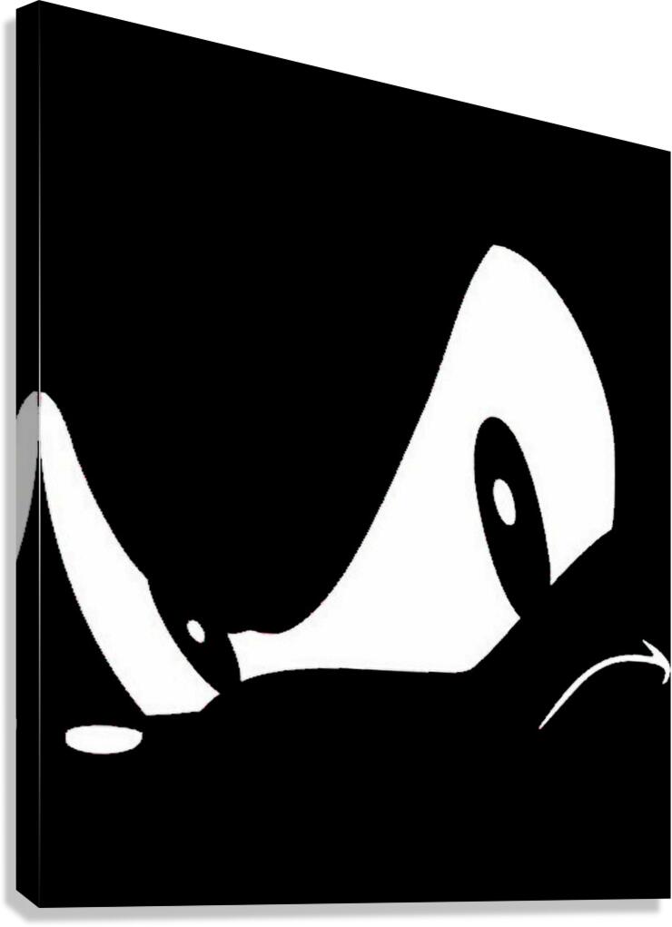 Sonic 17 Canvas Print