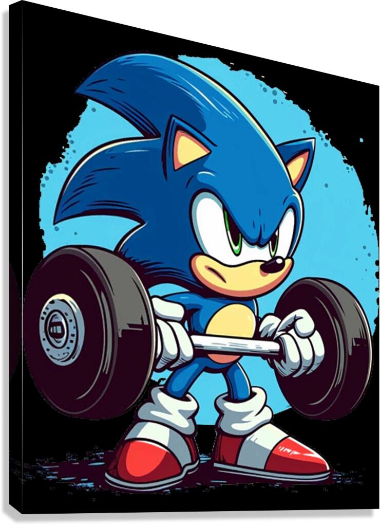 Sonic 19 Canvas Print