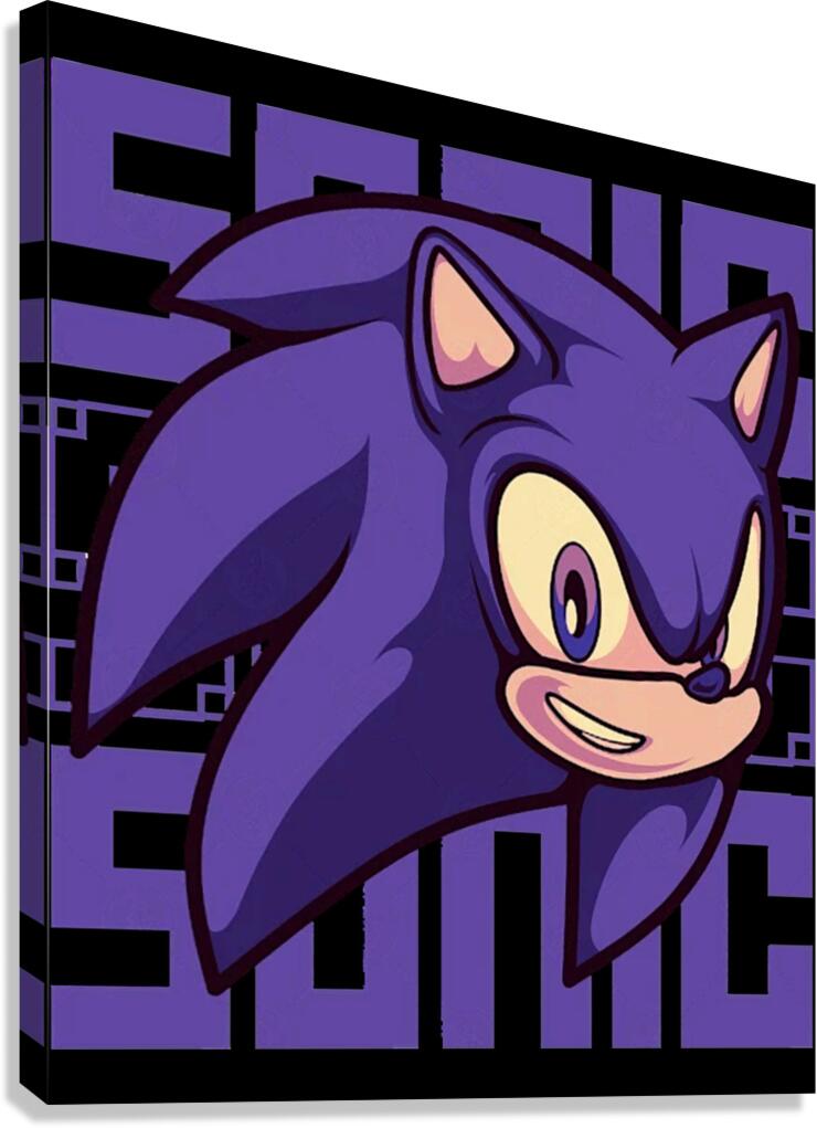 Sonic 20 Canvas Print