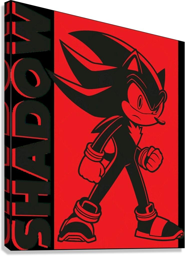 Sonic 21 Canvas Print