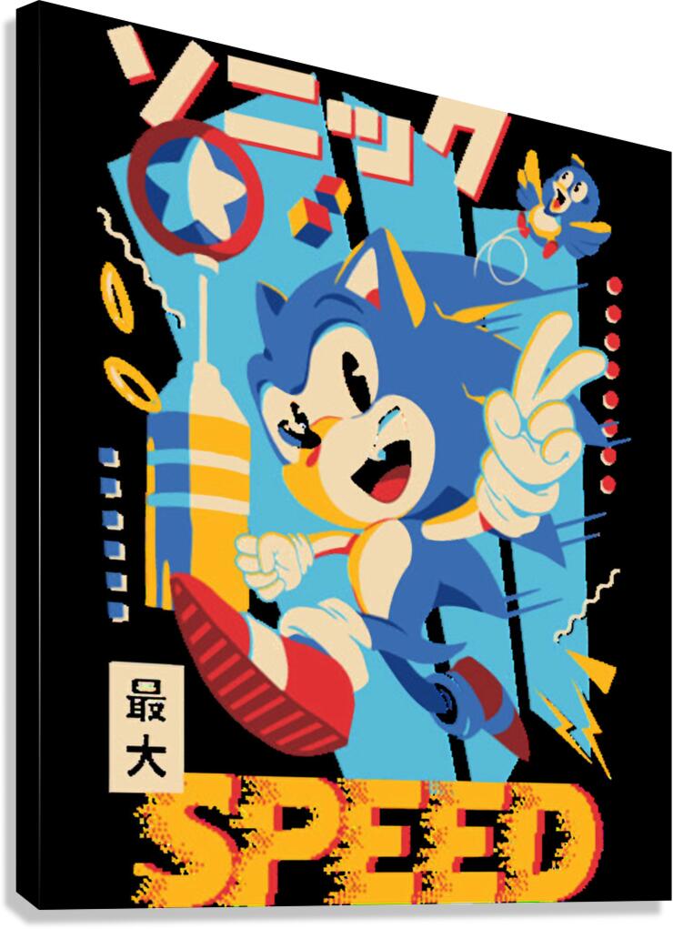Sonic 22 Canvas Print
