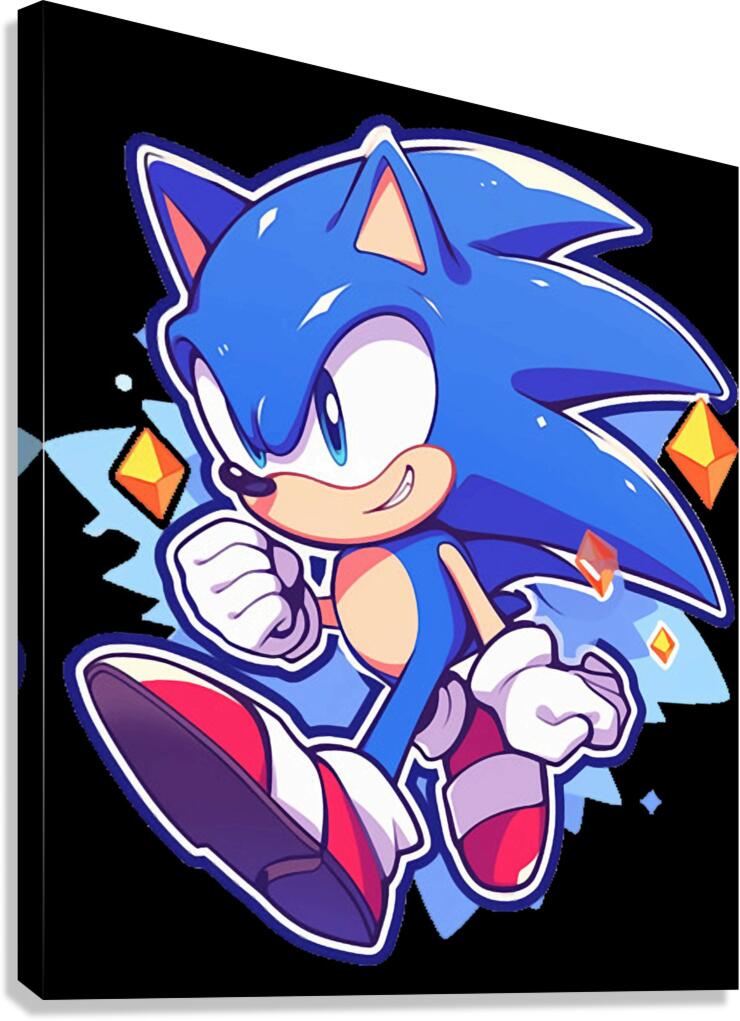 Sonic 24 Canvas Print