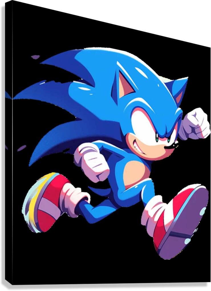 Sonic 26 Canvas Print