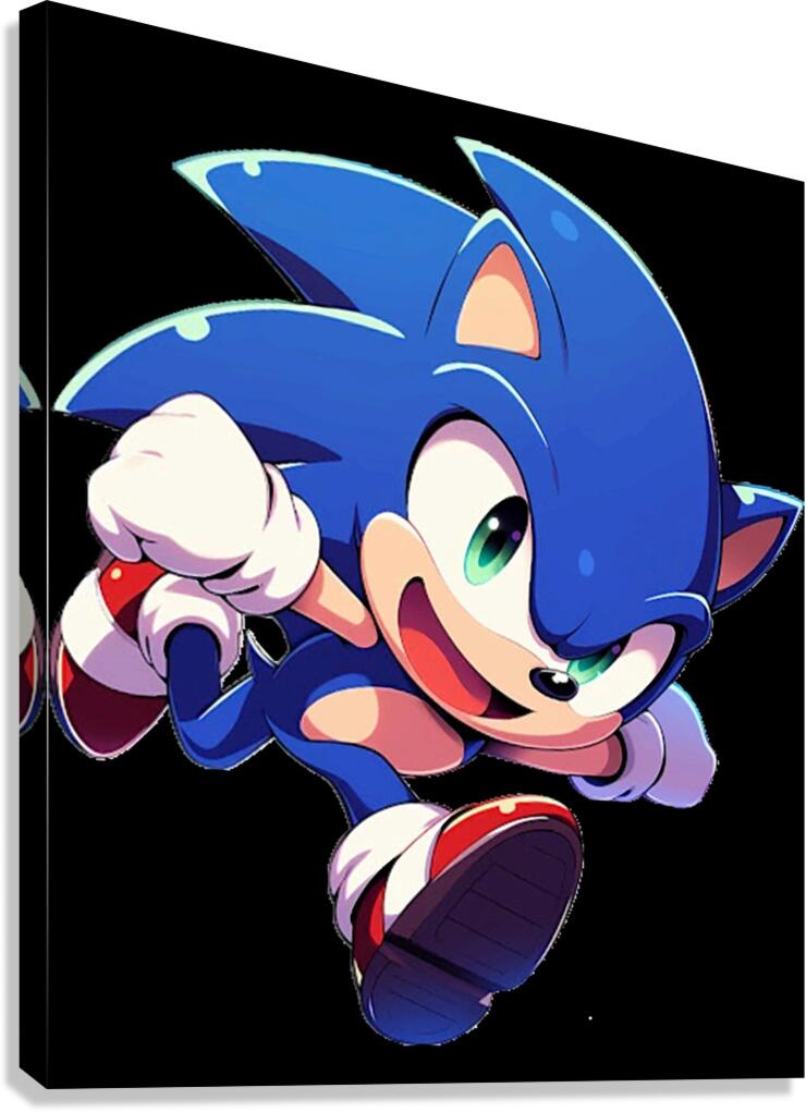 Sonic 27 Canvas Print