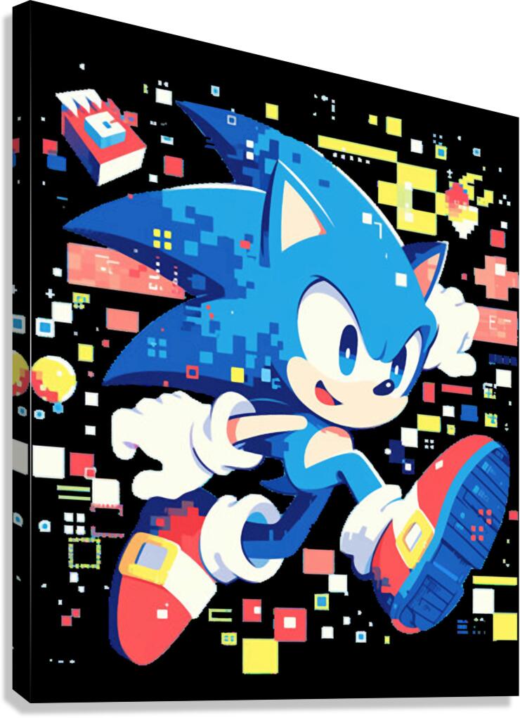Sonic 28 Canvas Print
