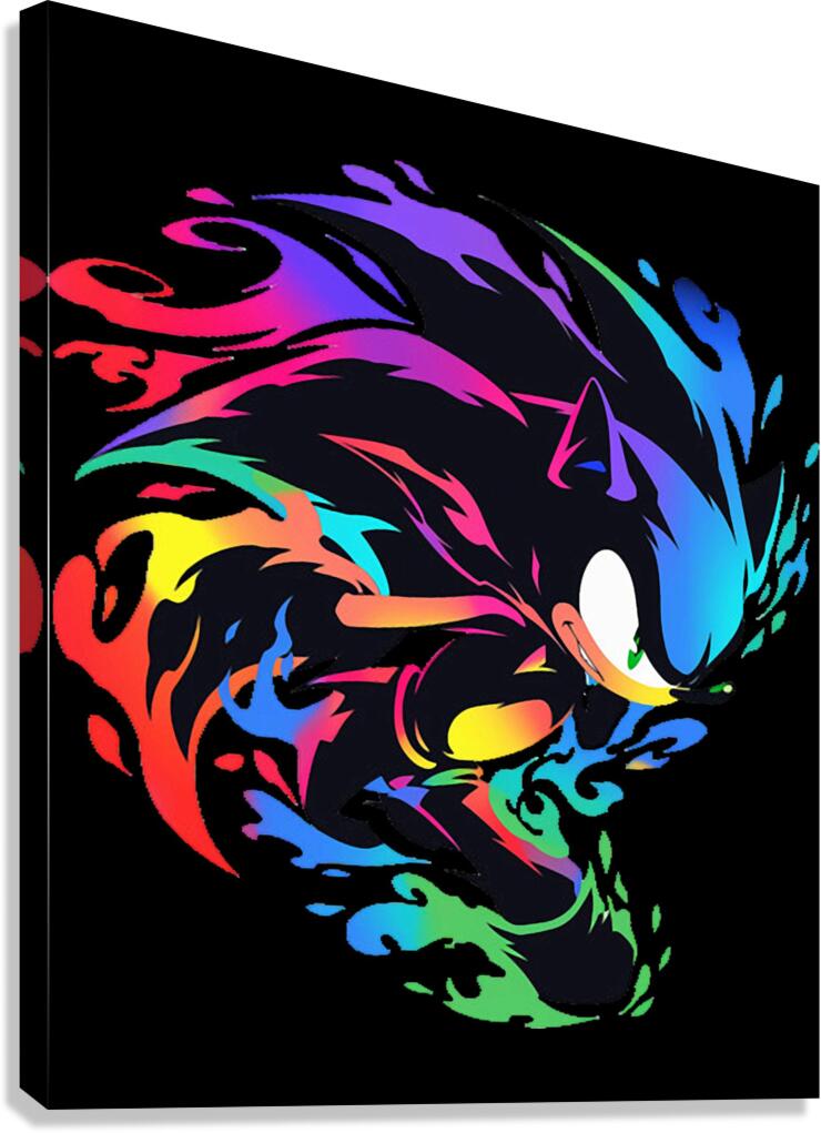 Sonic 29 Canvas Print