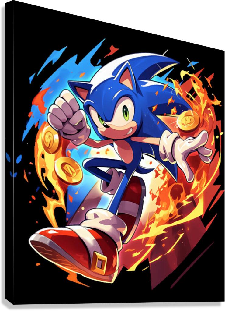 Sonic 33 Canvas Print