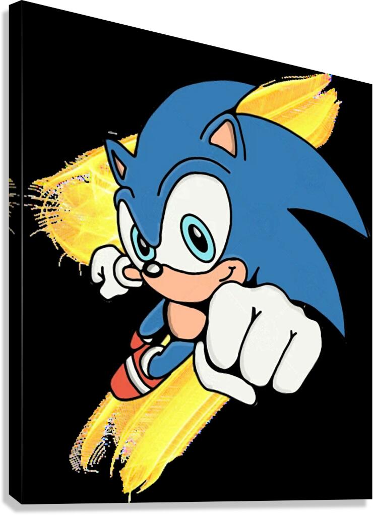 Sonic 34 Canvas Print