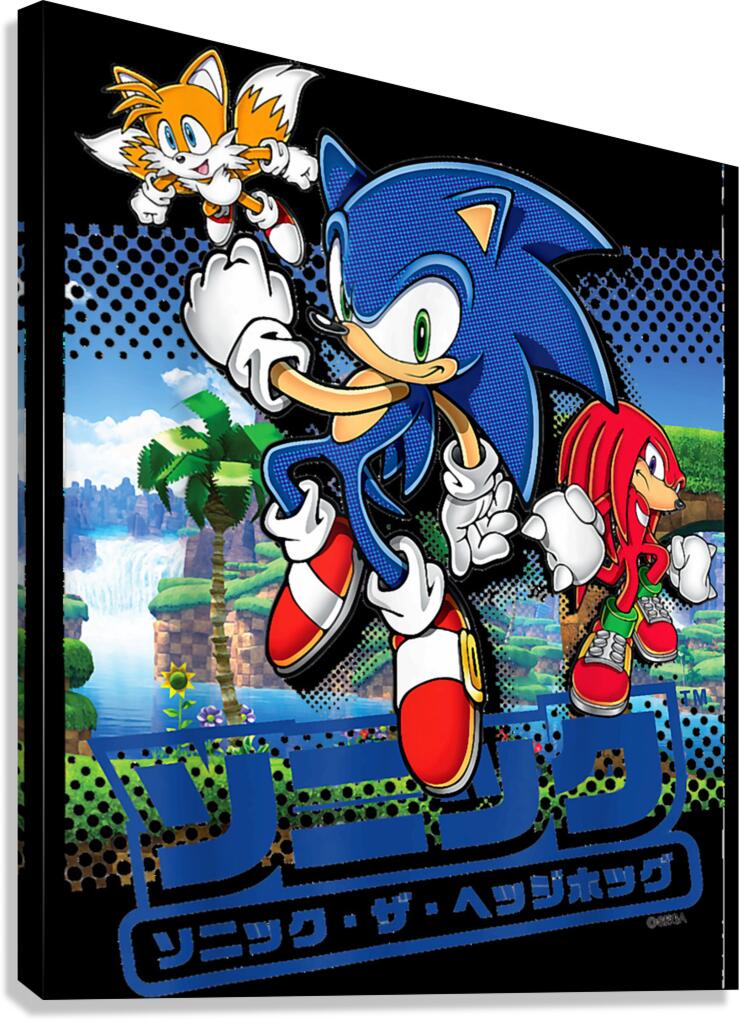 Sonic 36 Canvas Print