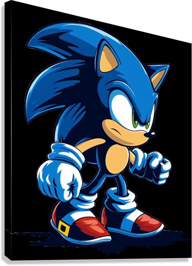 Sonic 37 Canvas Print