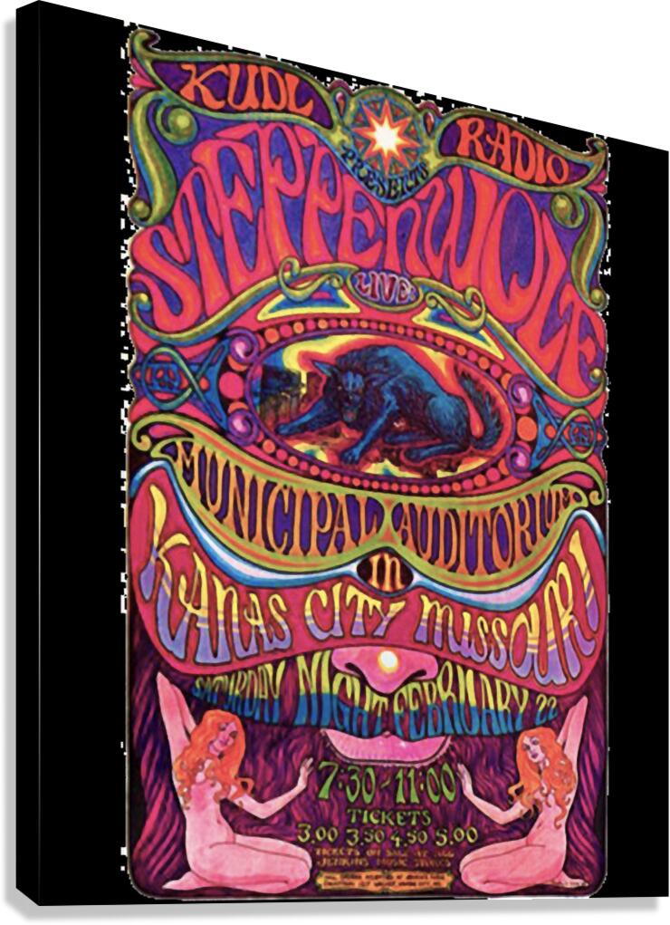 Steppenwolf 2 Canvas Print