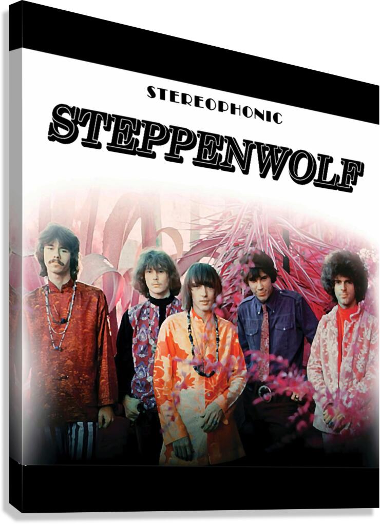 Steppenwolf 44 Canvas Print