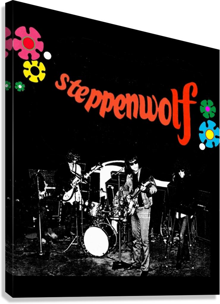 Steppenwolf 47 Canvas Print