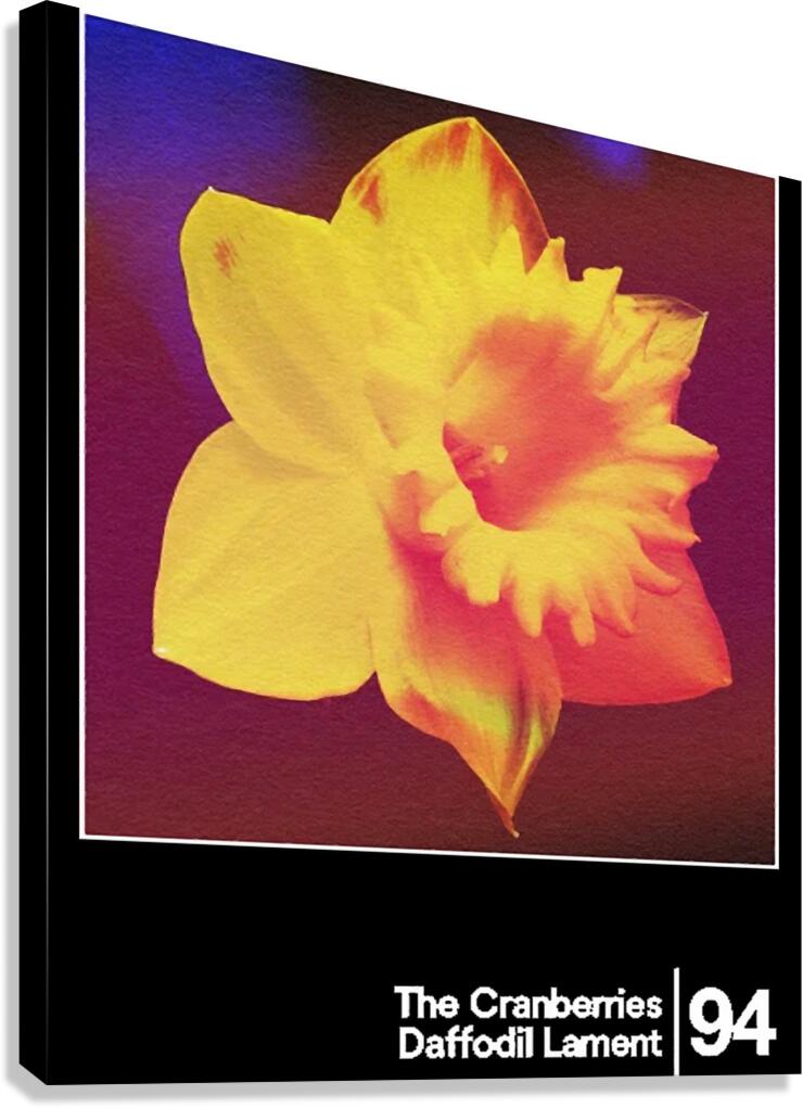 The Cranberries 5 Canvas Print