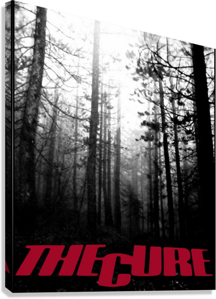 The Cure 29 Canvas Print