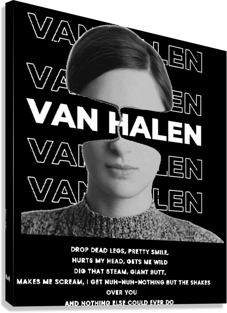 Van Halen 8 Canvas Print