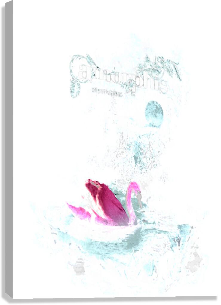 Amorphis 61 Canvas Print
