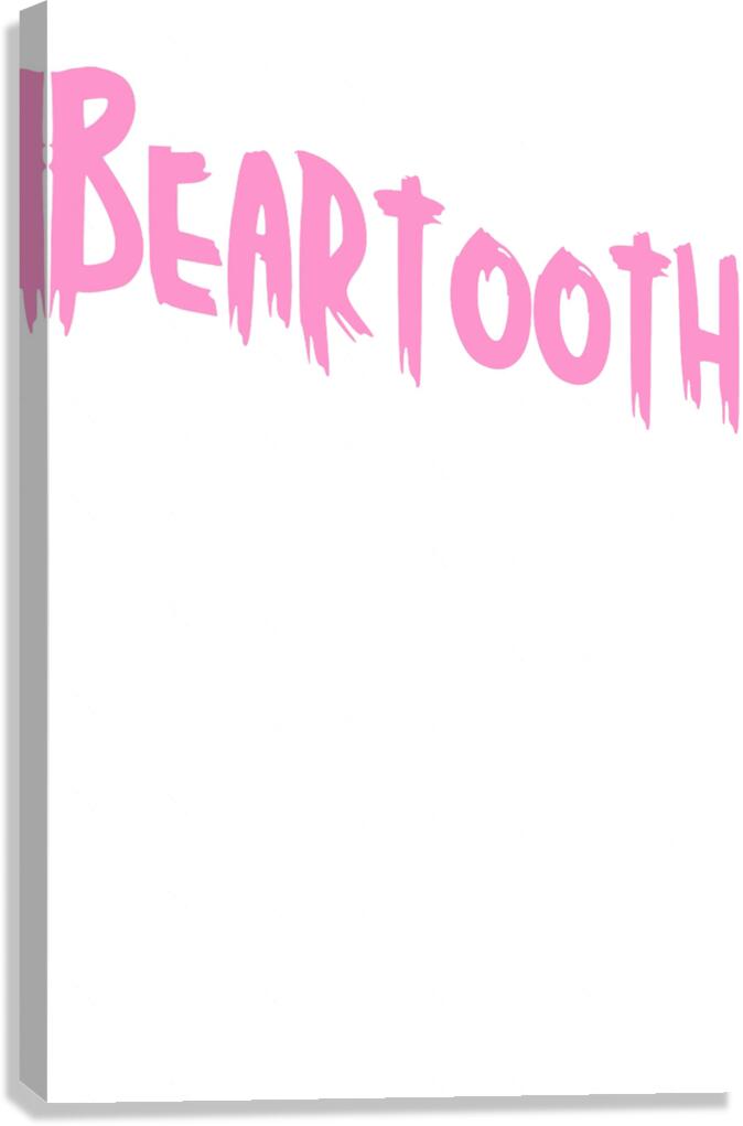 Beartooth 8 Canvas Print