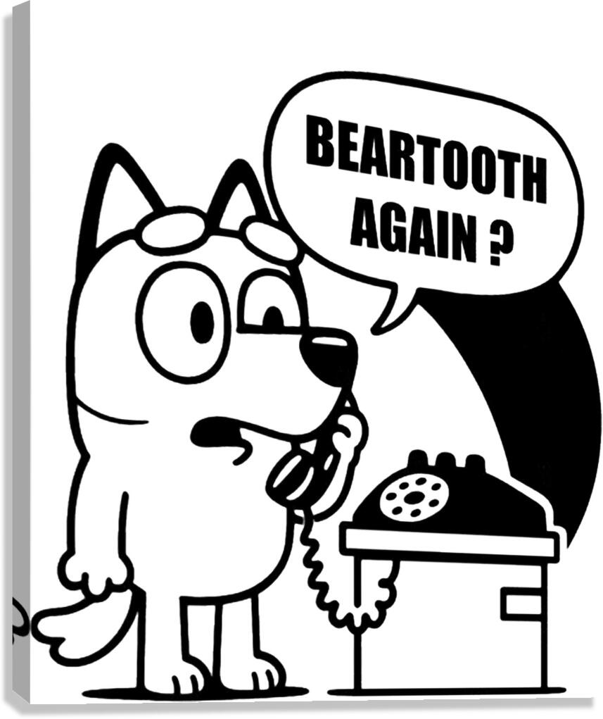 Beartooth 28 Canvas Print