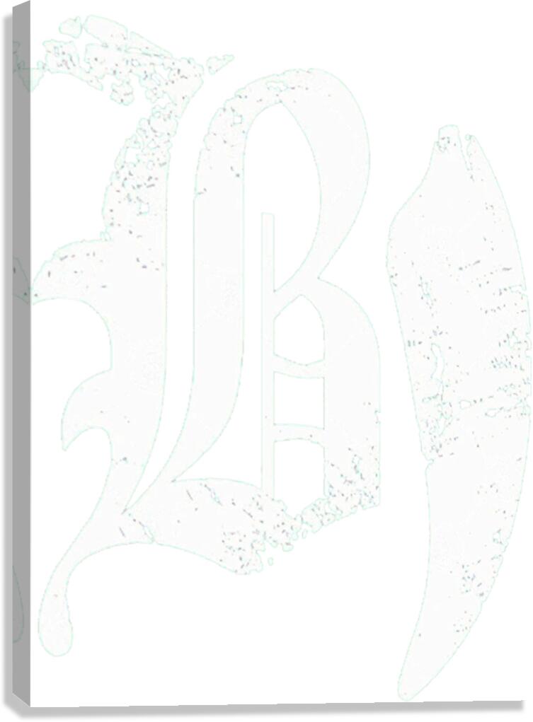 Beartooth 53 Canvas Print