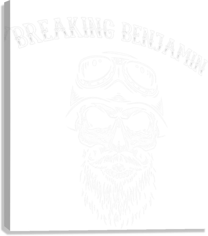 Breaking Benjamin 30 Canvas Print
