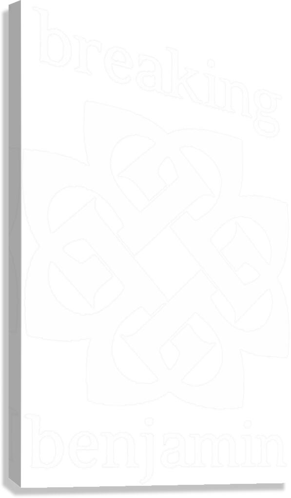 Breaking Benjamin 44 Canvas Print
