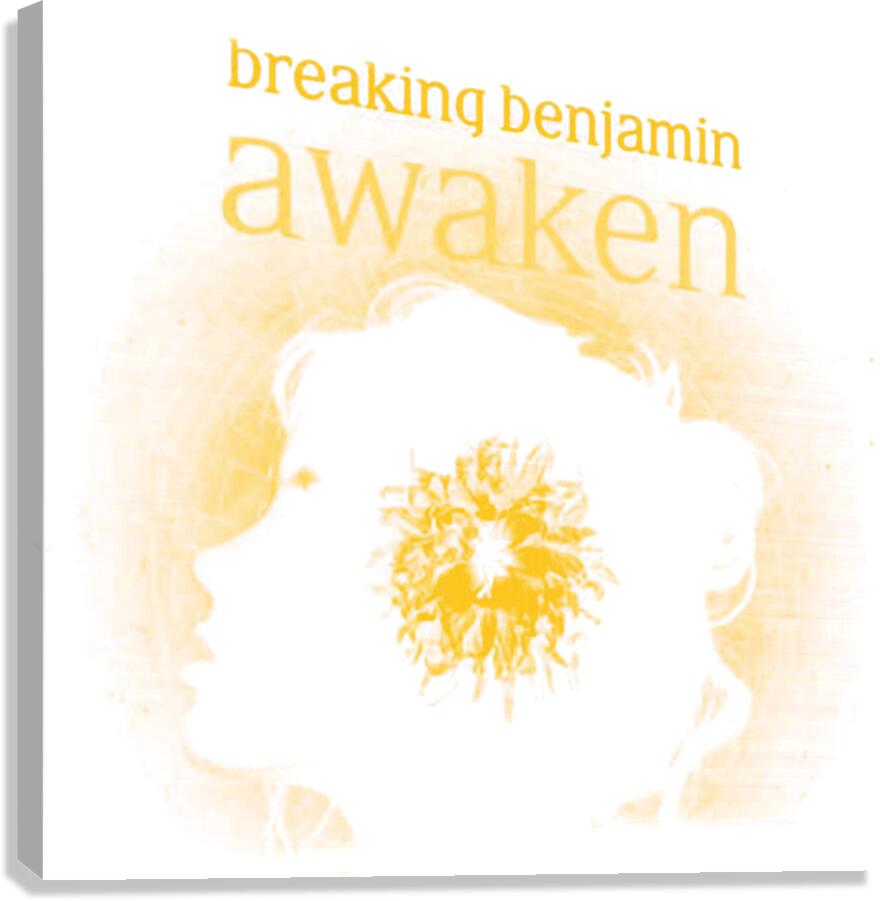 Breaking Benjamin 22 Canvas Print