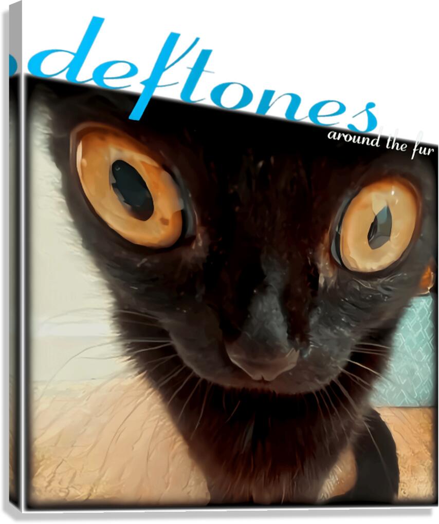 Deftones 28 Canvas Print
