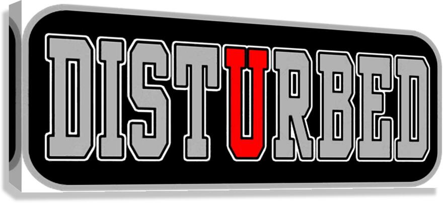 Disturbed 28 Canvas Print