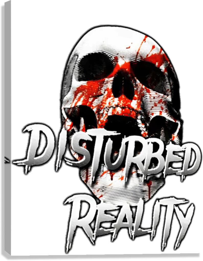 Disturbed 33 Canvas Print