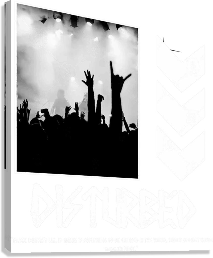 Disturbed 46 Canvas Print