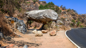 Arboreal Gateway: Tunnel Rock Sequoia National Park