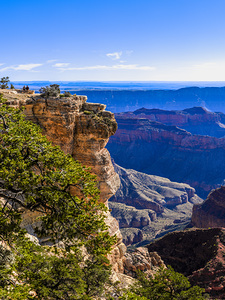 Cape Royal Vista: Embracing the Mystical Hues of Nature