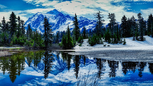 Icy Tranquility: Winter Scene at Picture Lake