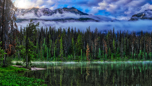 Misty Tranquility: Honeymoon Lakes Dawn Symphony.