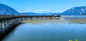 Tranquility at Salmon Arm Pier